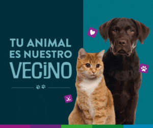 Vicente Lopez - Tu mascota es nuestro vecino